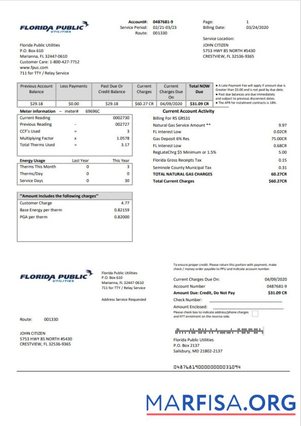 Downloadable USA Florida Public Utilities utility bill template in Word and PDF format